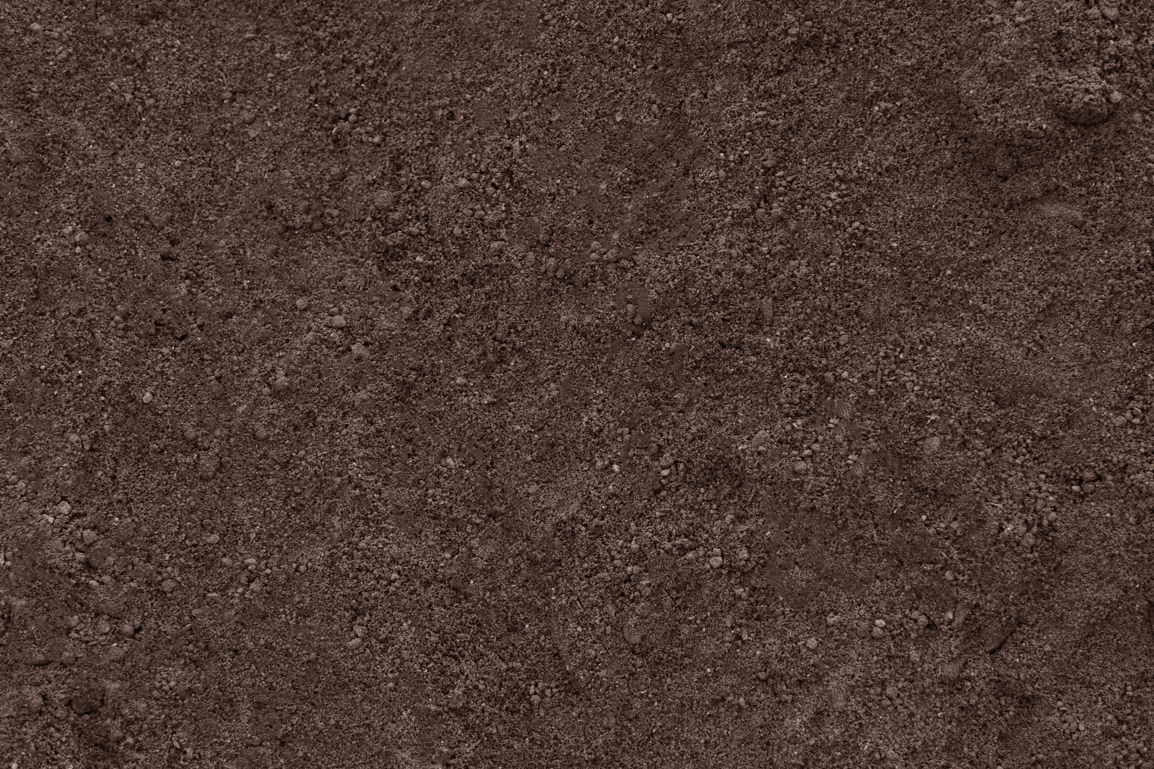 Background of Brown Soil